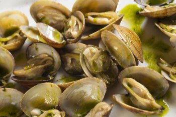 Green Sauce clams