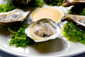 Shellfish in Houston: Oysters