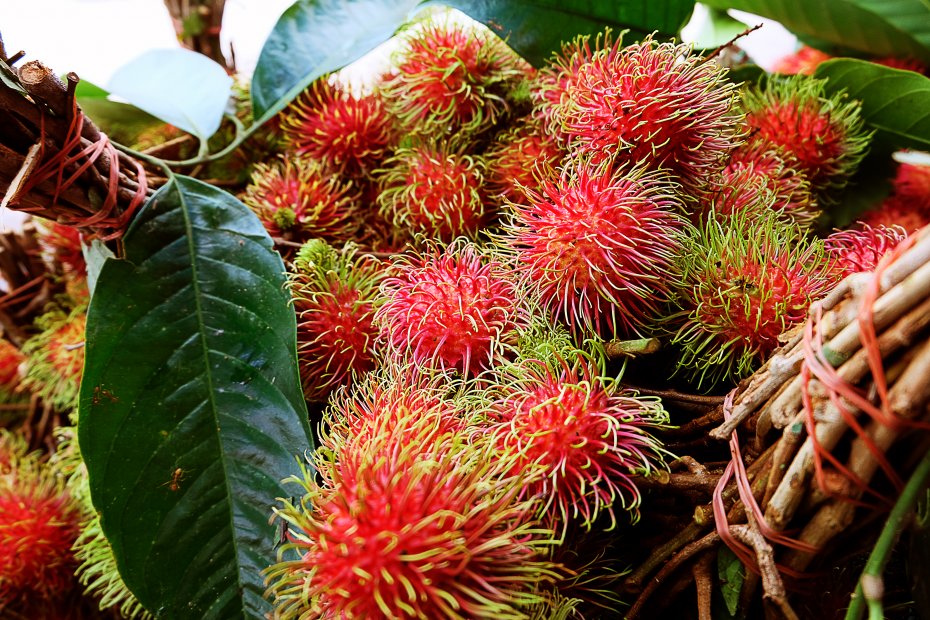 Thai Fruit