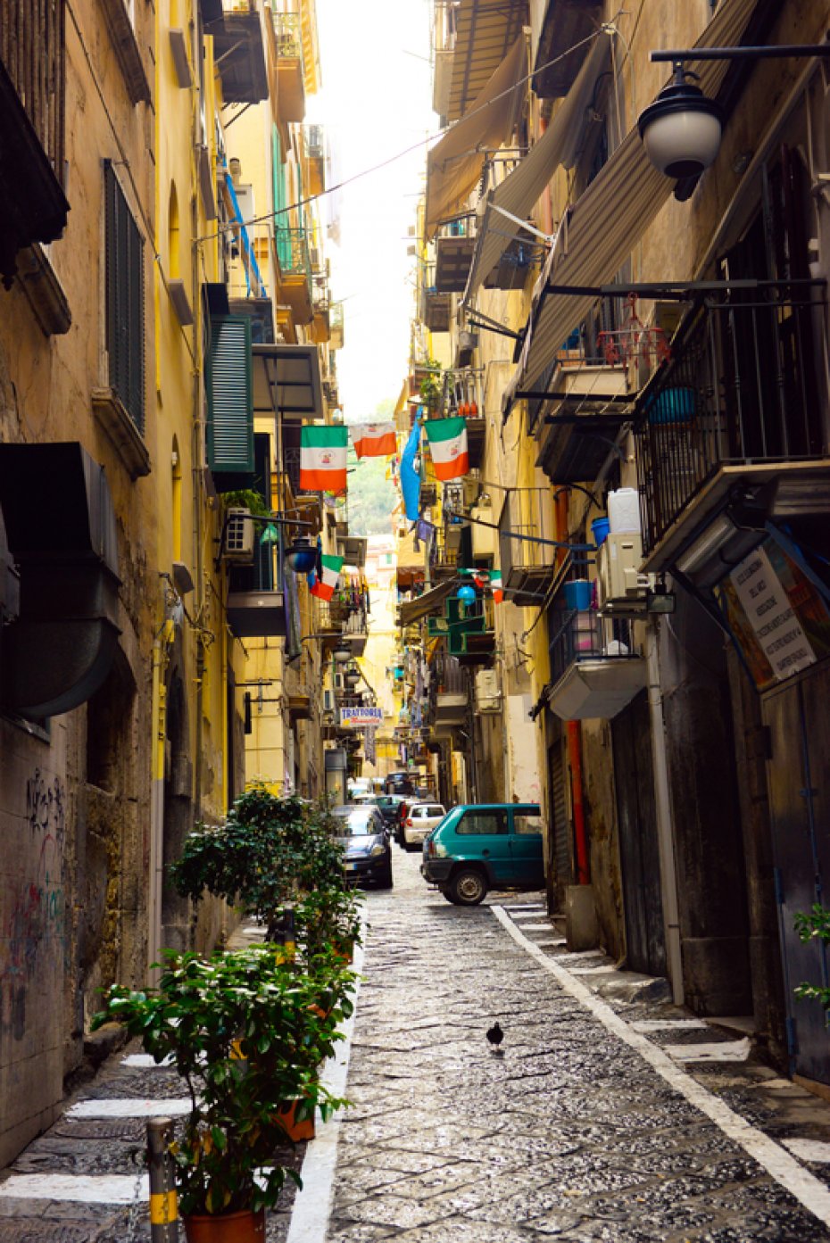 Recommended Trattorias