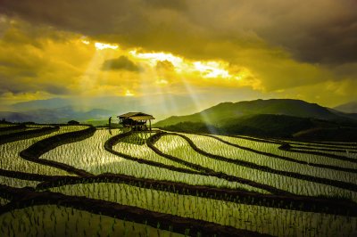 Chiang Mai