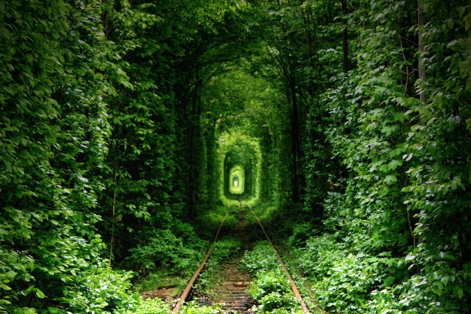 Tunnel of love, Kevian, Ukraine 