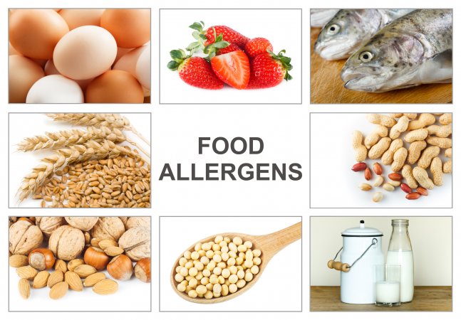 Carteles con fotos de lo que eres alérgico