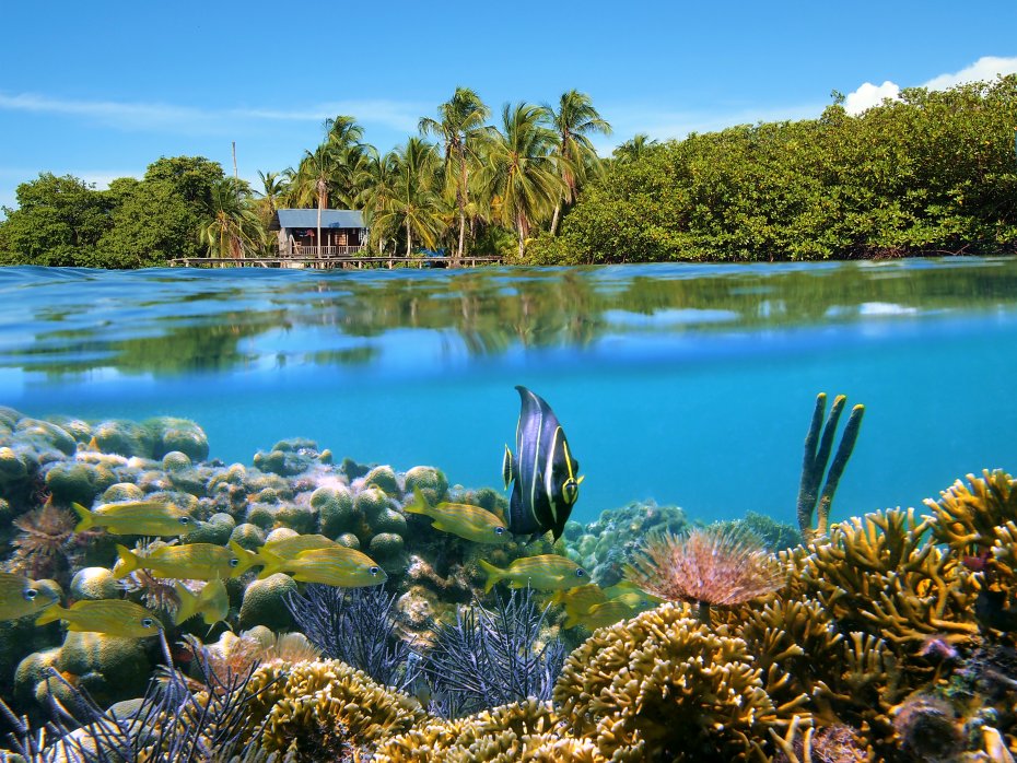 Bocas del Toro