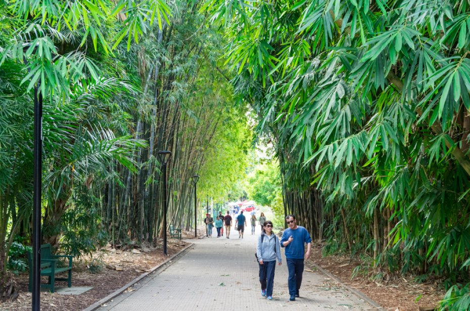 City Botanic Gardens