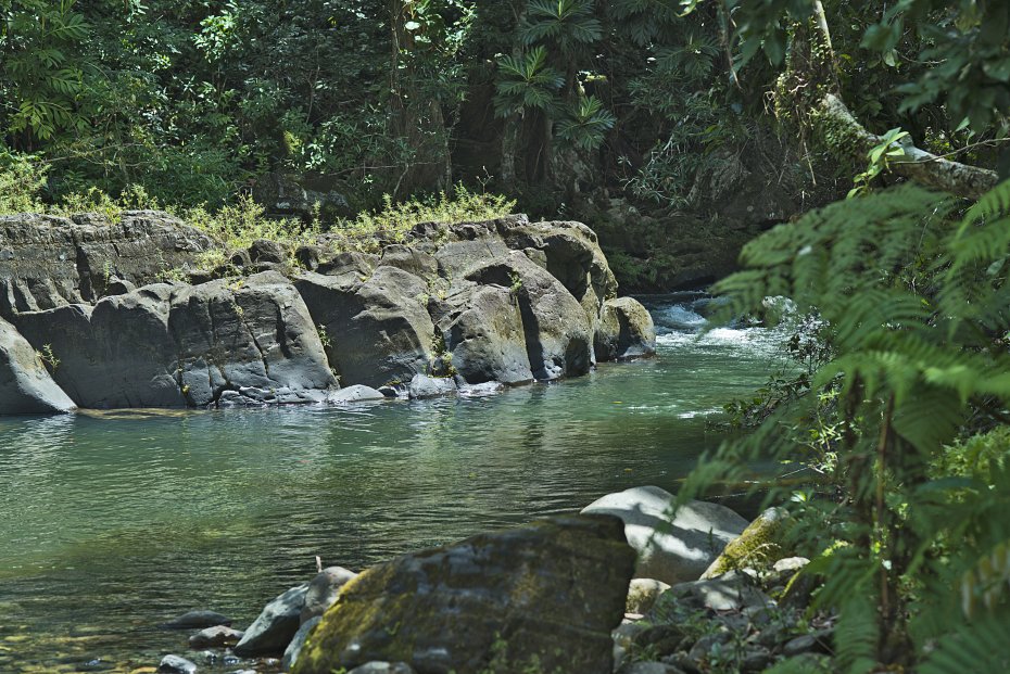 El Yunque Rain Forest