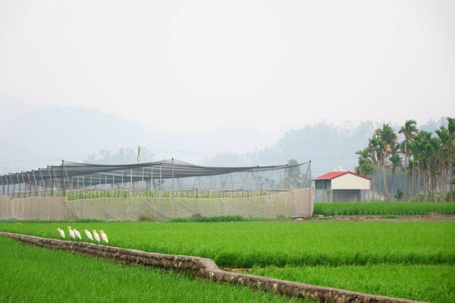 Meinong Folk y el Museo Meinong Hakka