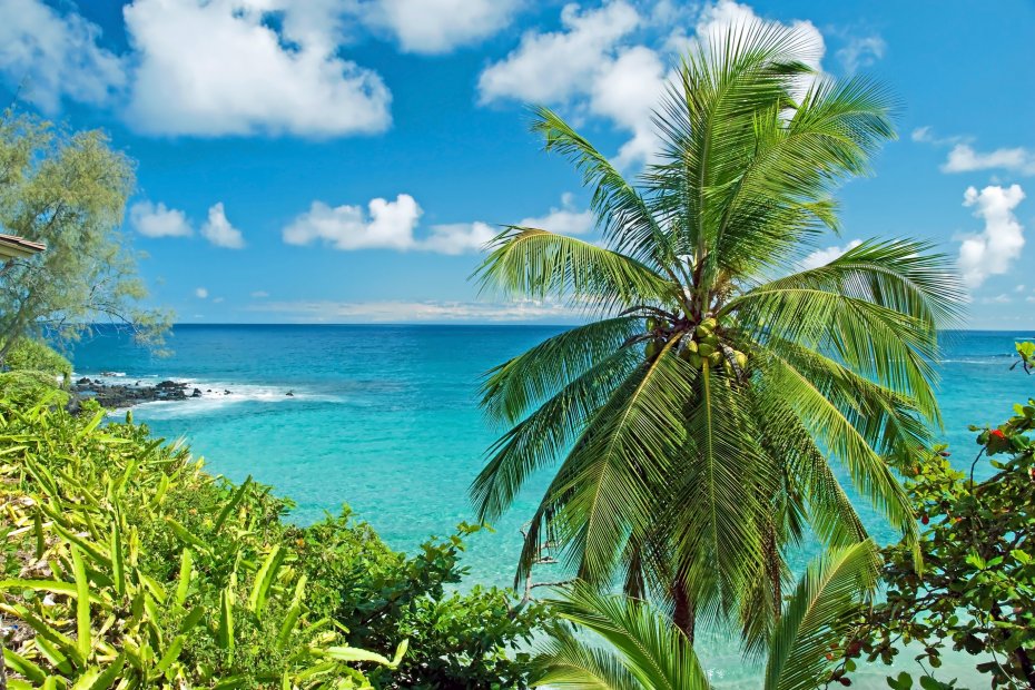responsabilidad En la madrugada Scully Hawái - Isla Maui
