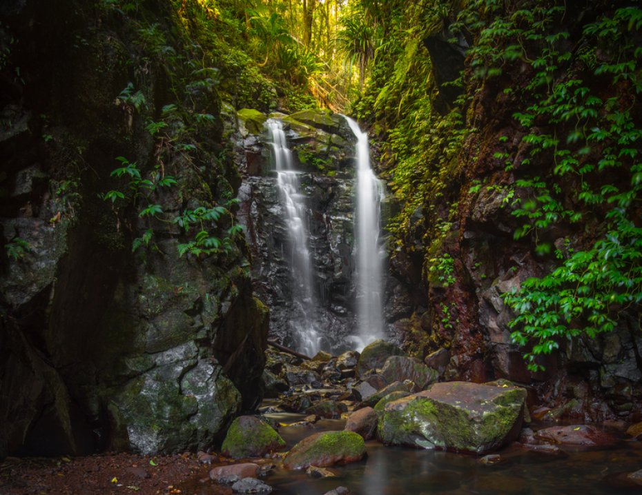 Lamington and Springbrook National Parks