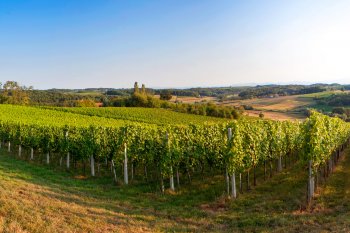 Camino del vino Međimurje 