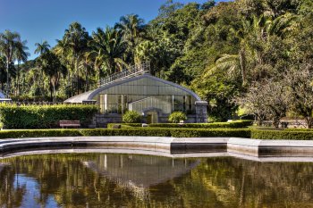 Botanical Garden of São Paulo