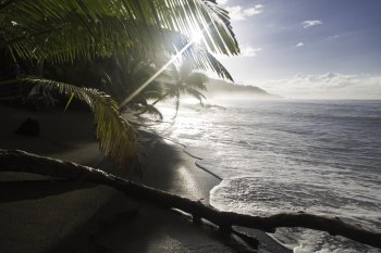 Península Osa, Isla del Caño, Parque Esferas, Corcovado