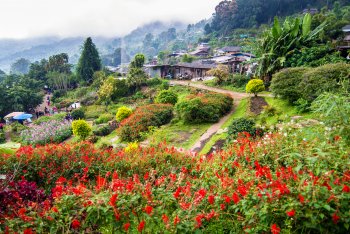 Doi Pui