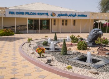 Hospital del Halcón de Abu Dabi