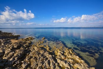 Isla Mljet