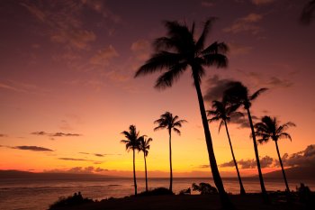 Isla Moloka’i