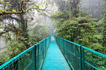 Biologycal reserve Cloudy Forest of Monteverde