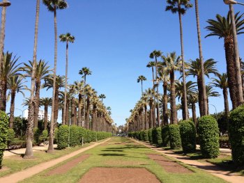 Parc de la Ligue Arabe