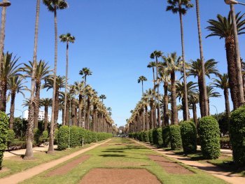 Parc de la Ligue Arabe