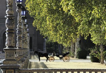 Parque de Maria Luisa