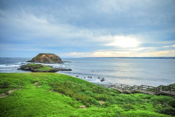 Parque natural Phillip Island 