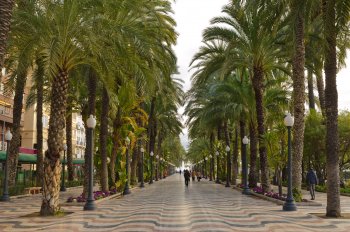 Alicante’s Rambla and Esplanade of Spain