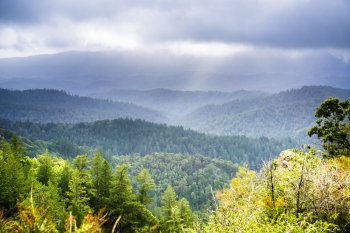 Santa Cruz Mountains