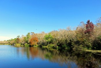 Six Mile Cypress Slough Preserve