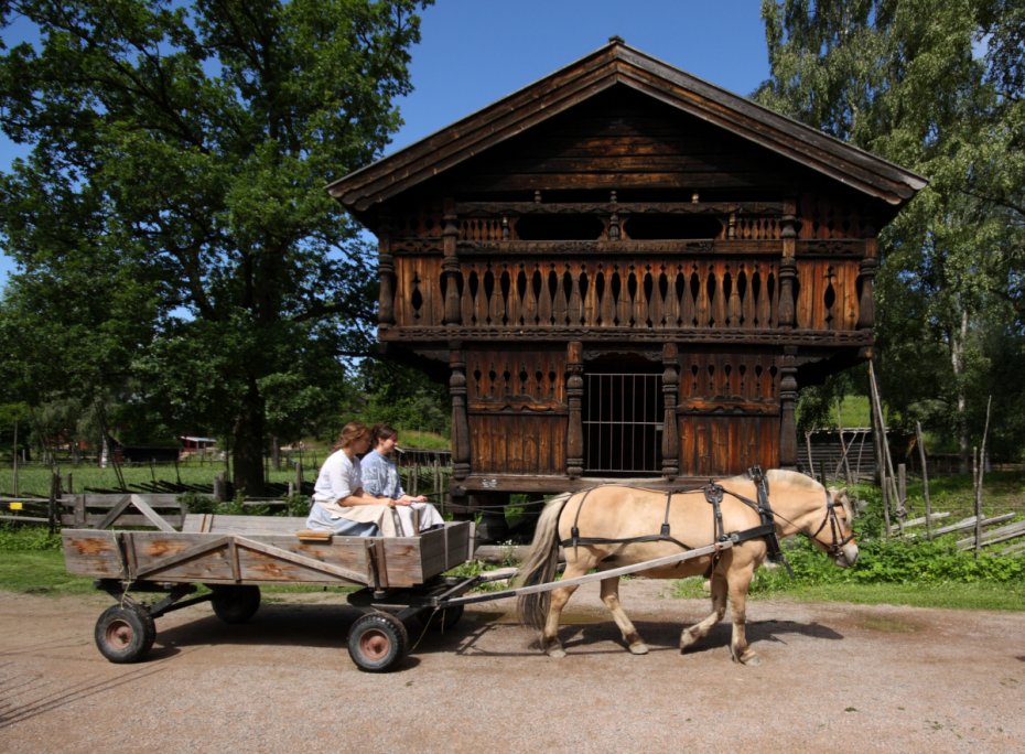 Norwegian Museum of Cultural History