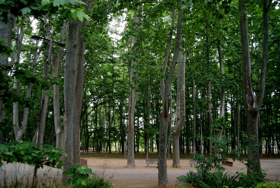 Parque de la Dehesa (Parc de la Devesa)