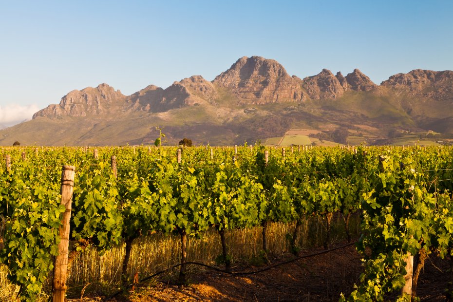 Rutas del Vino Ciudad del Cabo