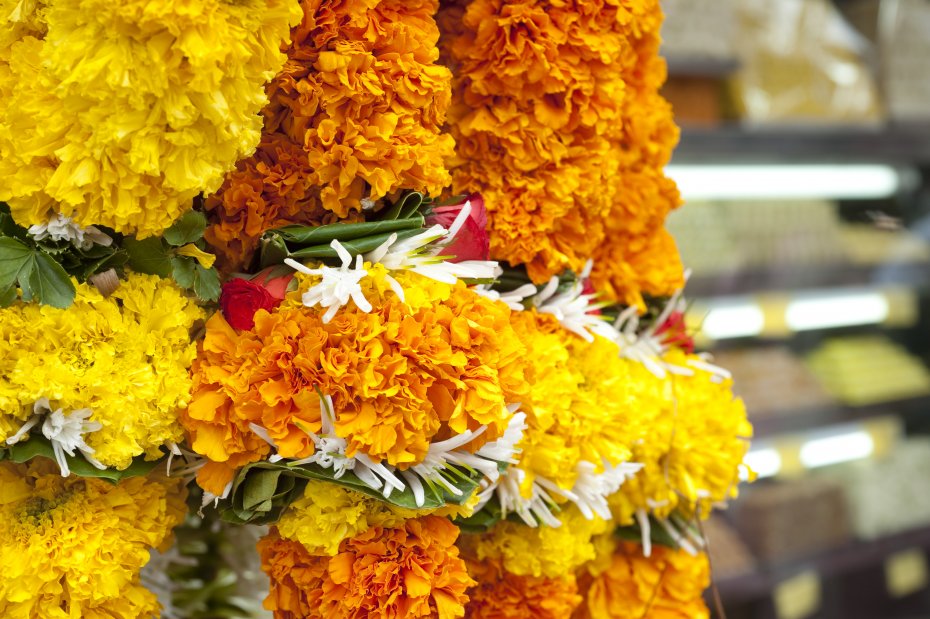 Shree Mahalakshmi Temple