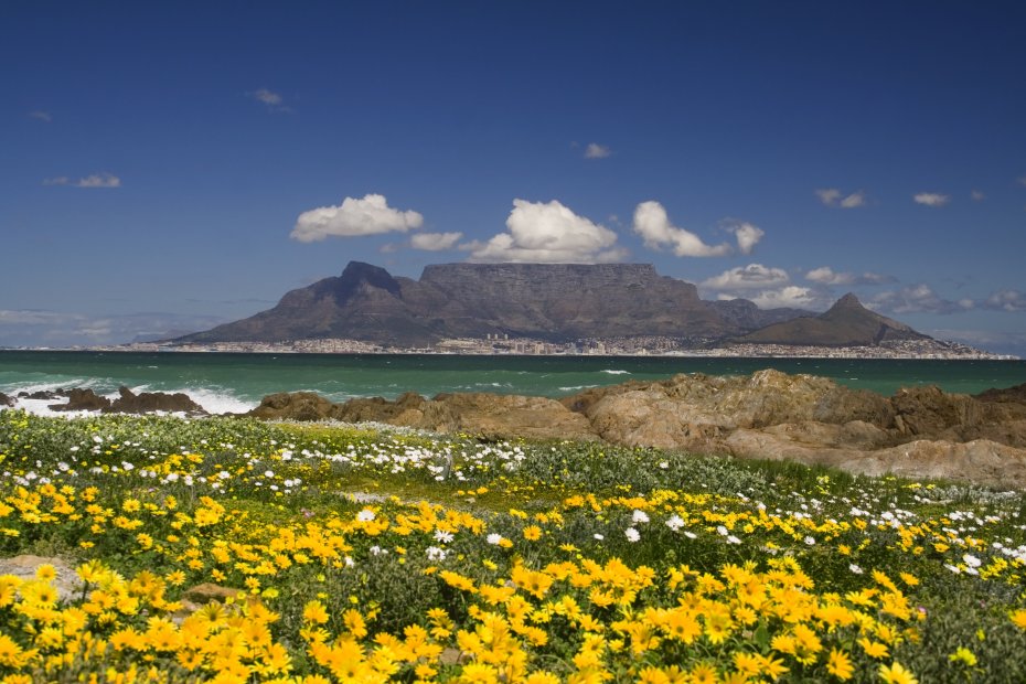 Table Mountain National Park Cabinets Matttroy