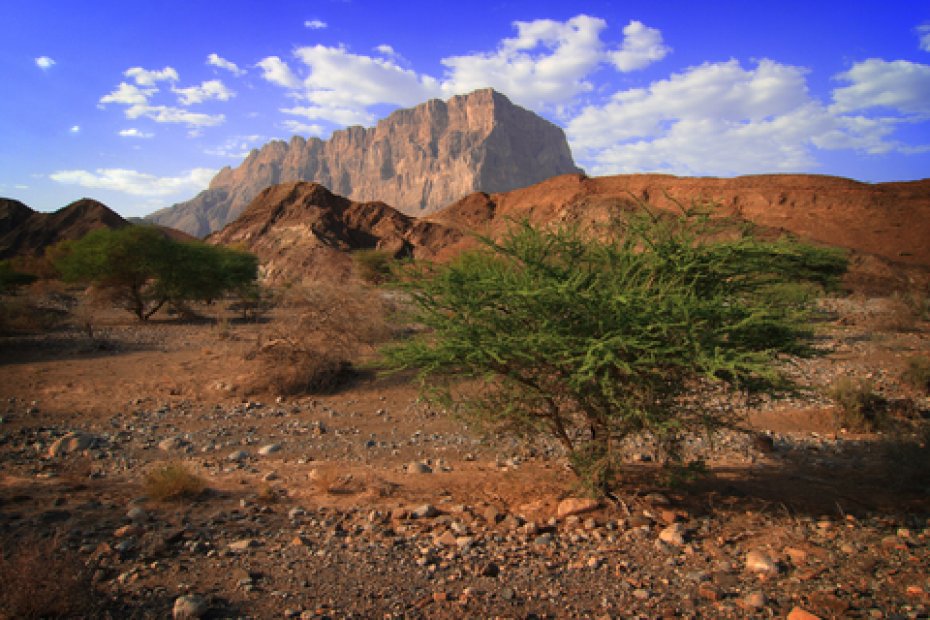 Muscat - Wadi Damm